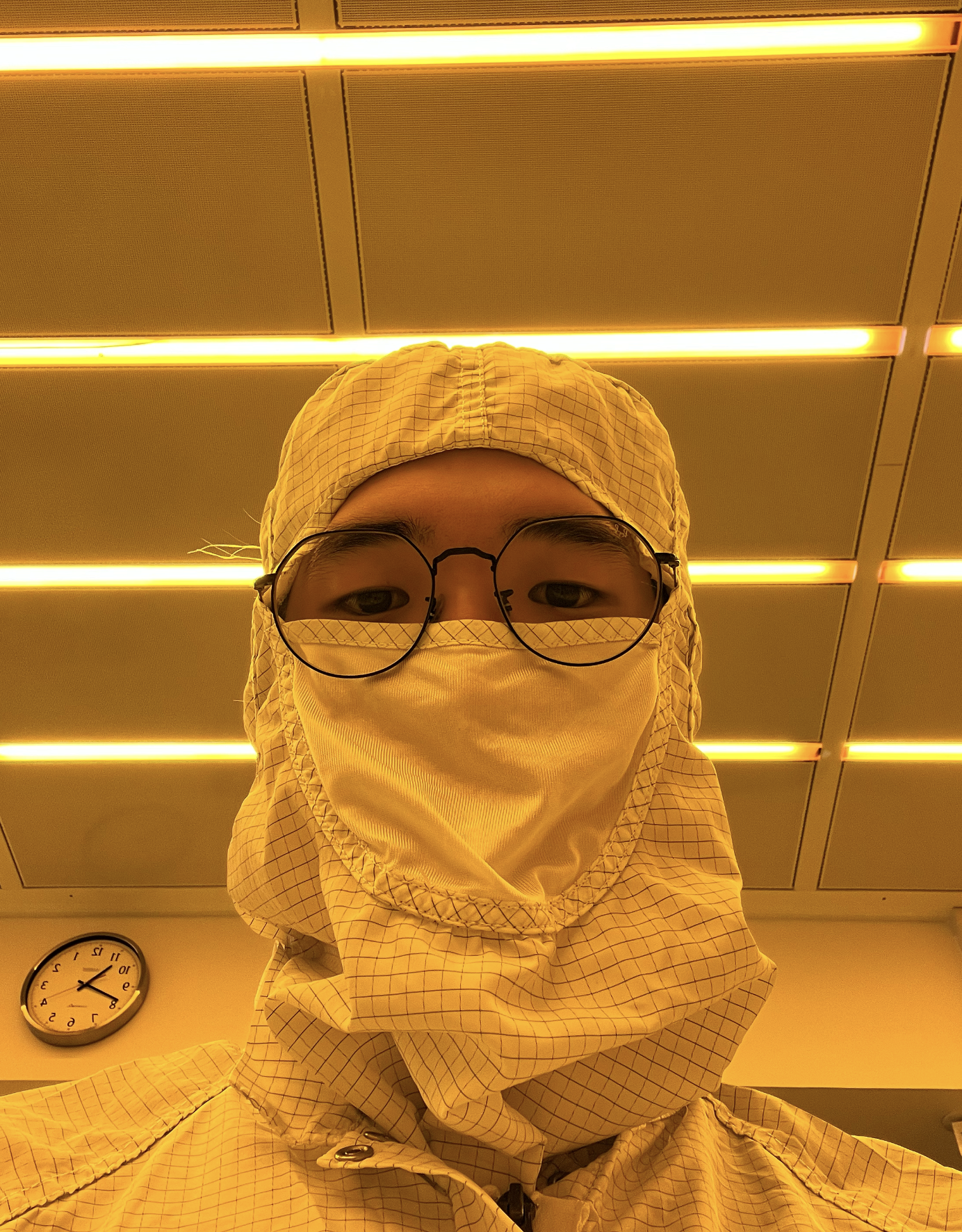 daniel noh in a bunny suit